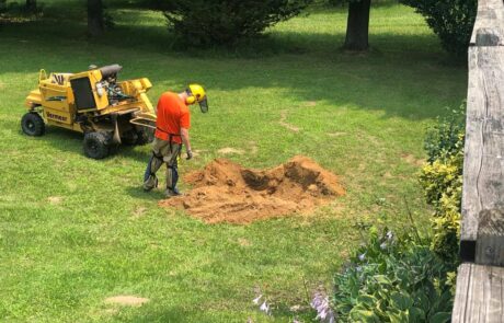 Oakland County Michigan Stump Grinding